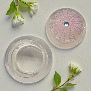 Sea Urchin trinket box